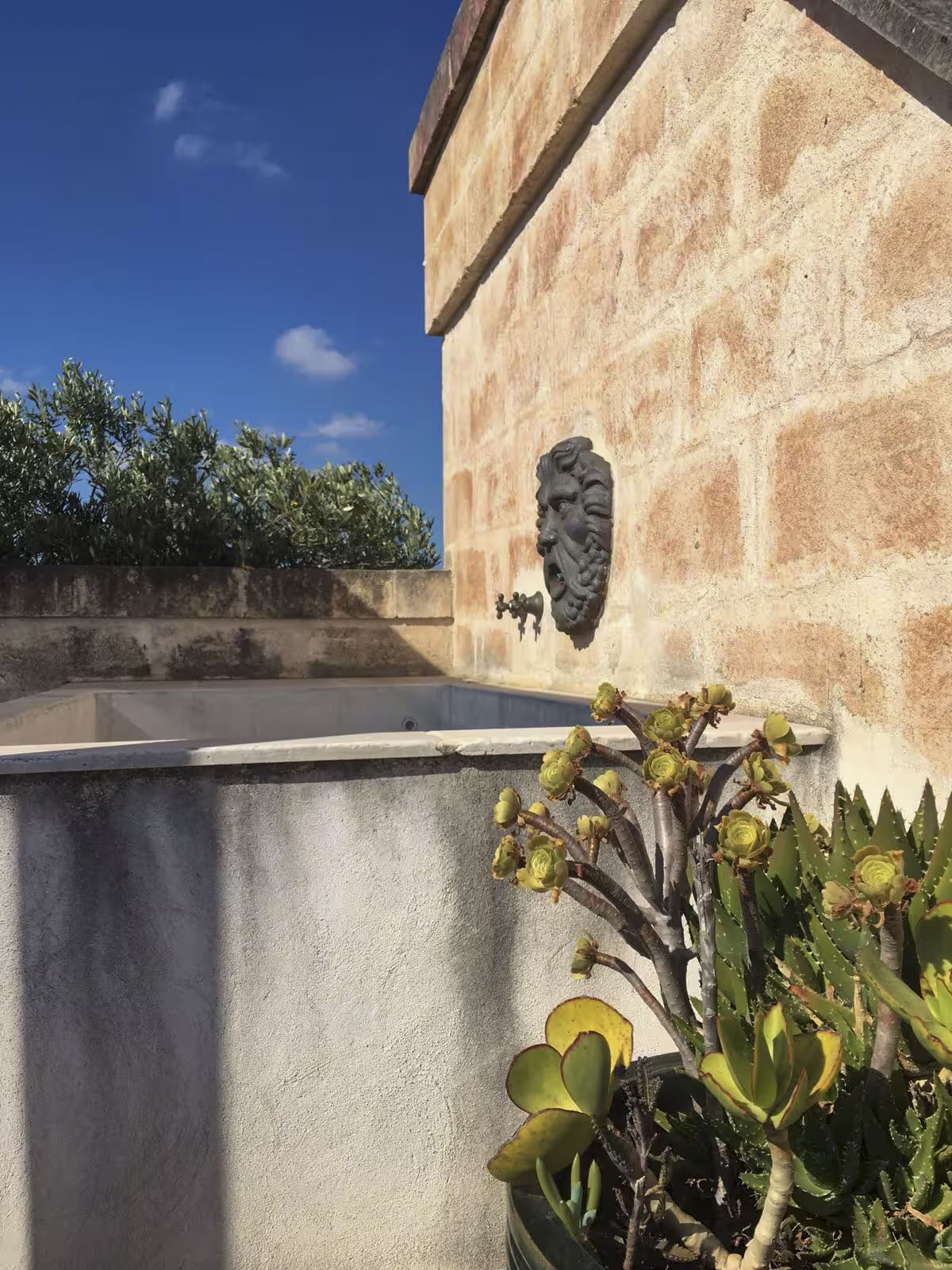 Close-up of the built-in stone soaking tub on the rooftop terrace, decorated with succulents and a lion-head spout.