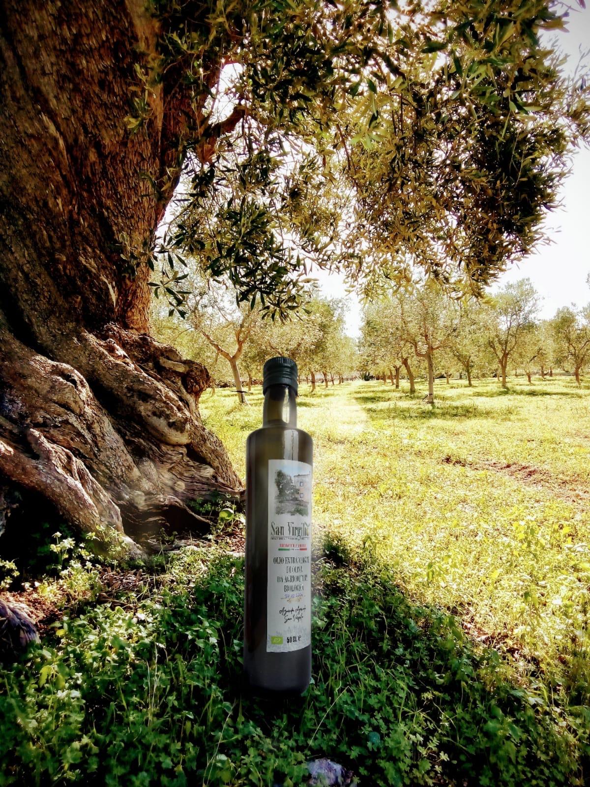 Bottiglia 0.5l di Olio EVO Biologico San Virgilio con uno dei nostri ulivi monumentali della tenuta sullo sfondo