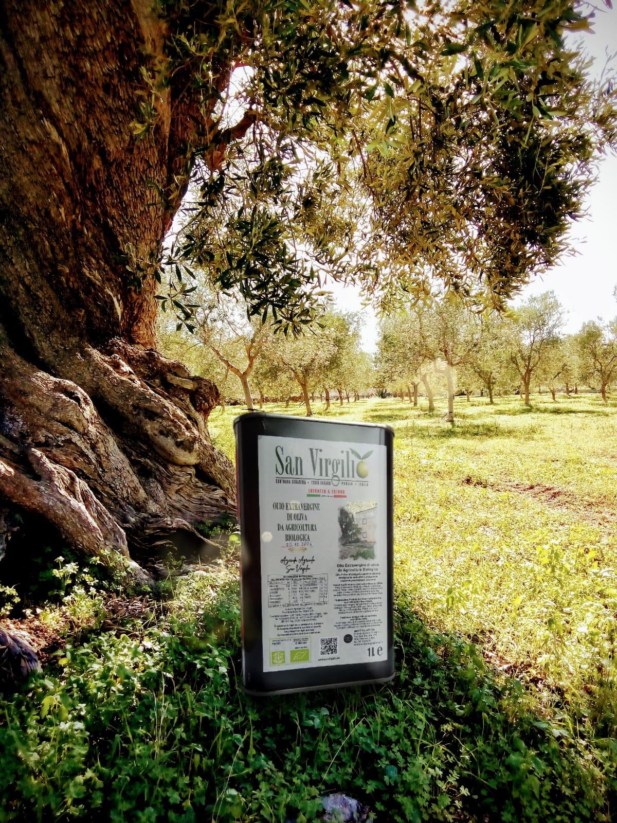 Lattina 1l di Olio EVO Biologico San Virgilio con uno dei nostri ulivi monumentali della tenuta sullo sfondo