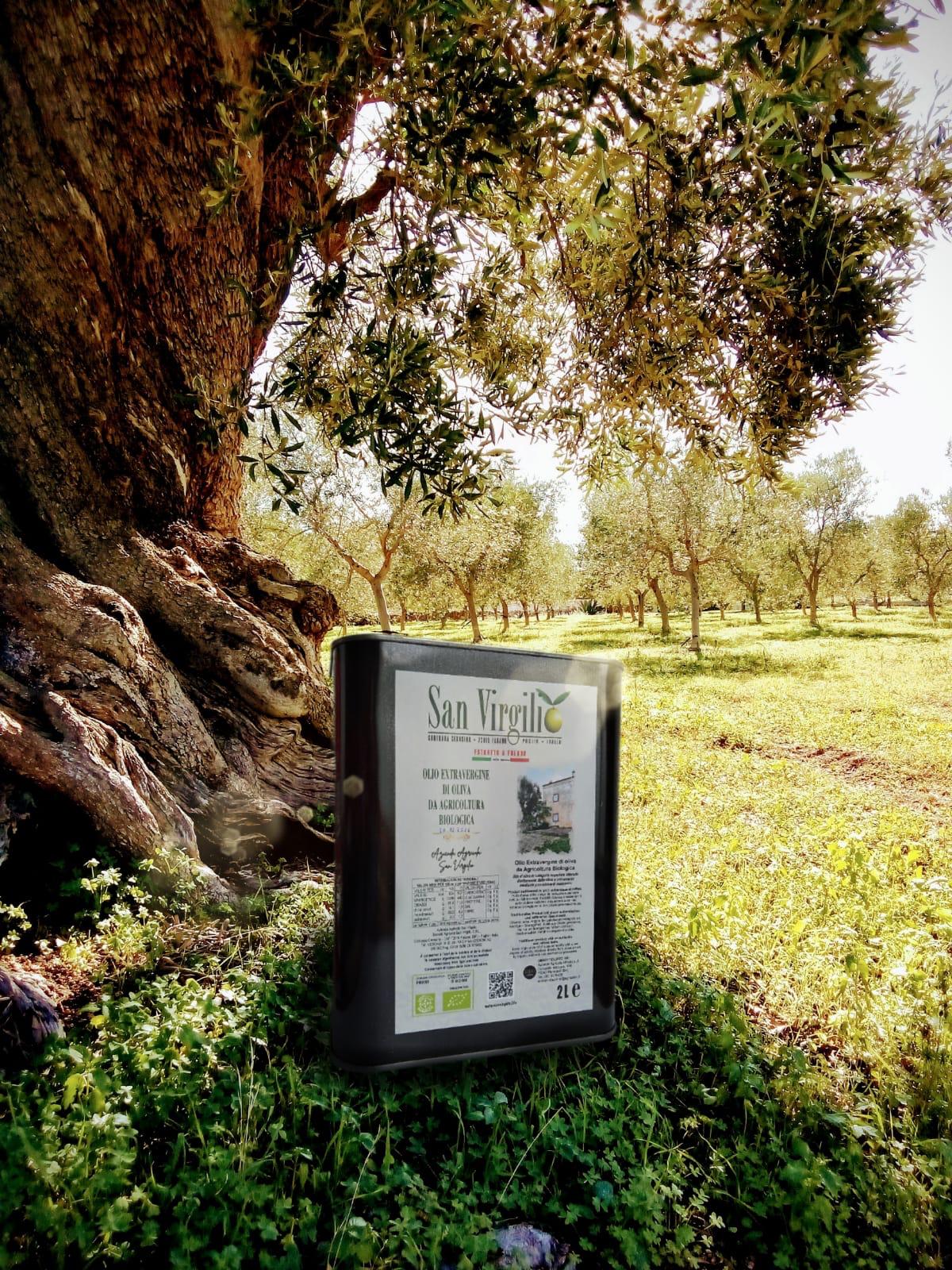 Lattina 2l di Olio EVO Biologico San Virgilio con uno dei nostri ulivi monumentali della tenuta sullo sfondo