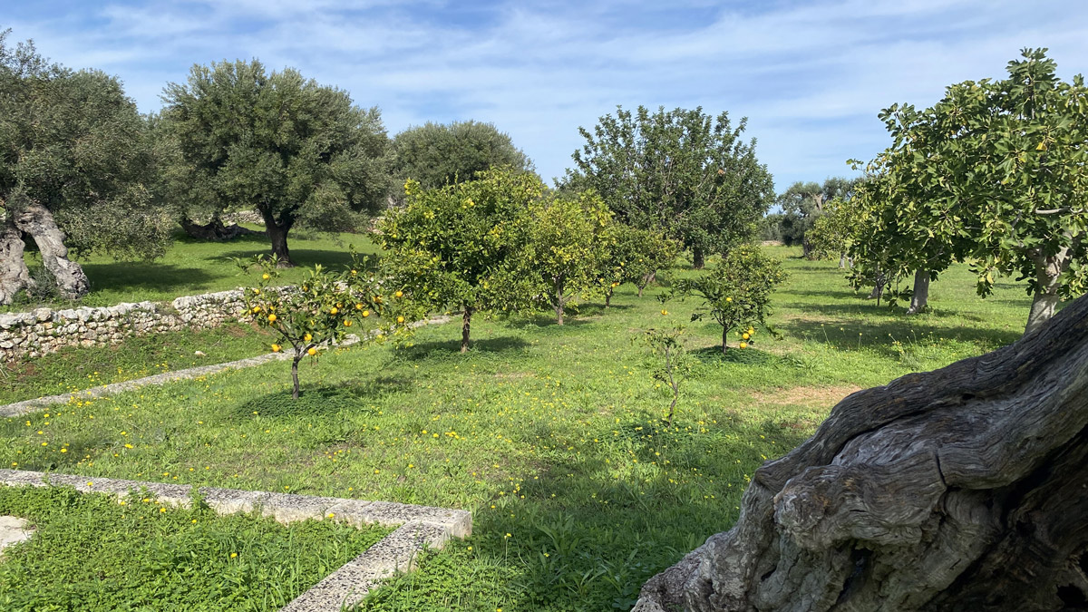 San Virgilio — foto 3
